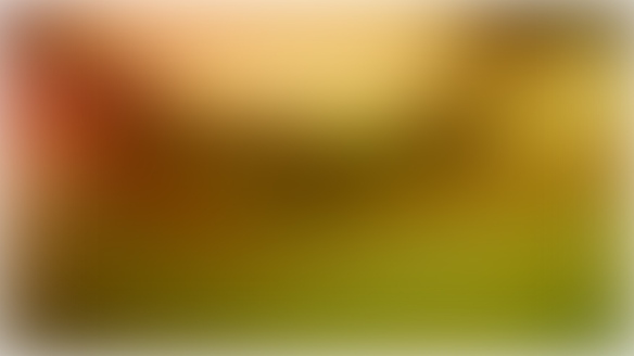 blurred bg f4mmedia (5)